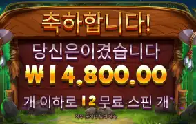 바이슨 후기