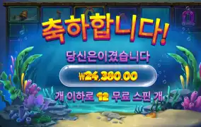 비웨어딥 2.4만