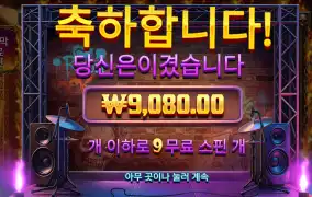 와일드 스컬즈