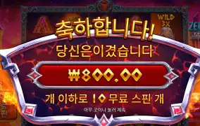 프라그마틱 하데스 800원