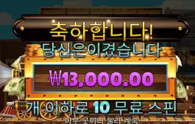 스티밍릴스 리뷰