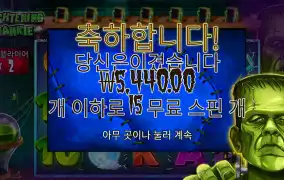 프랭키 후기