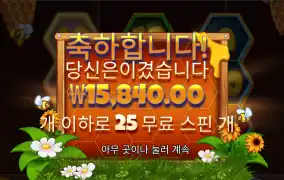 비키퍼 리뷰