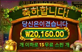 와일드리치 15바퀴