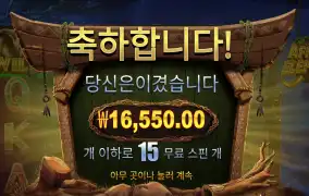 아프리칸 1.6콩