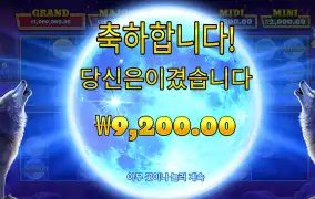 울프골드 리뷰
