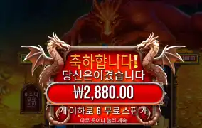 슬리핑드래곤 후기
