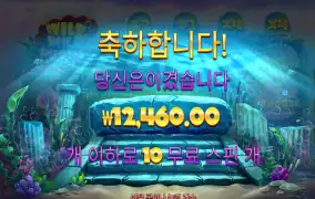와일드 펄스