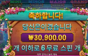 피에스타포춘 30900