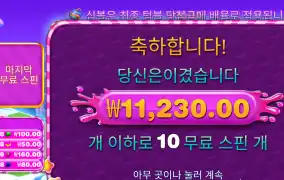 스윗보난자 리뷰