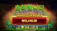 휠오골드 후기
