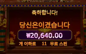포춘기자