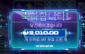 사이버 3010