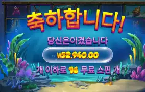 비웨어딥 5.2만