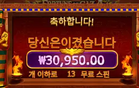 포춘기자