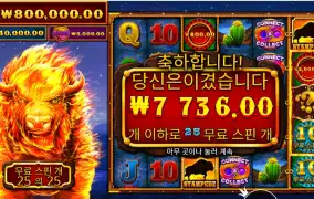 파이어 스탬피드 2 25바퀴