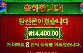 판다 후기