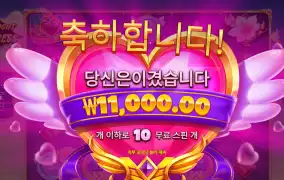 트와일라잇 1.1콩