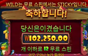 트위티하우스 소액벳 500배