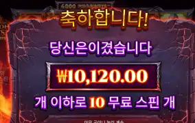 드래곤팟 후기