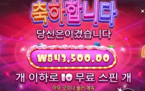 바오 슈가 후기