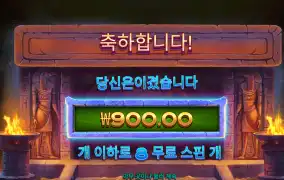 나일포춘 900원