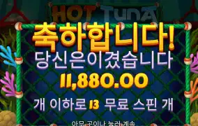 핫투나 후기