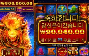 프라그마틱 파이어스탬프 9콩