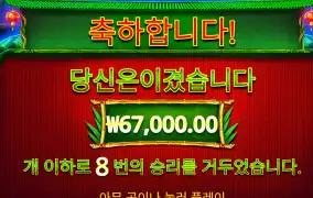 판다 리뷰