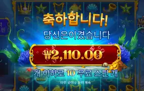 머메이드