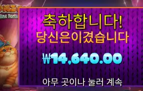 폰조 1.4만