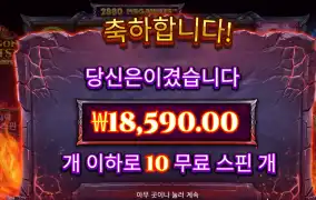 드래곤팟스 리뷰