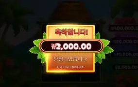 슈퍼티키 리뷰