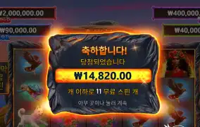 볼케이노 리뷰