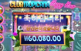 트로피카나 300배