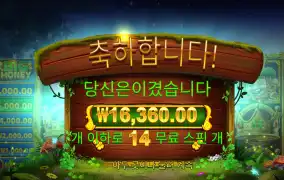 아이리쉬 1.6만