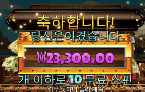 스티밍릴스 리뷰