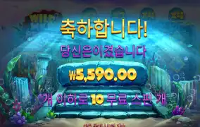 와일드펄스 후기