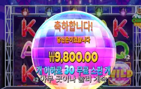 펭귄 후기