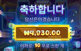 퓨리보난자 후기