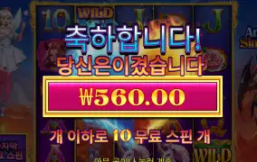 엔젤시너 560