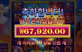 엔젤시너 후기