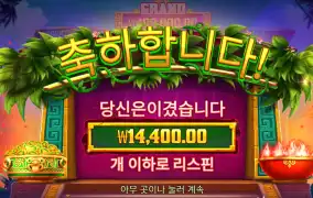 잉카퀸 1.4콩