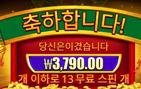 휠해피니스 13스핀