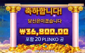 트리플팟 3.6콩