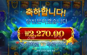 머메이드 후기