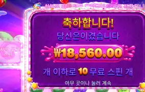 스윗보난자 1.8콩