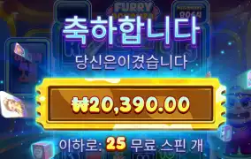 퓨리보난자 2콩