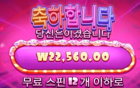 슈가다이스 후기