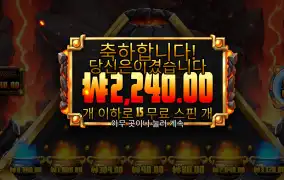 프라그마틱 라바볼 2천